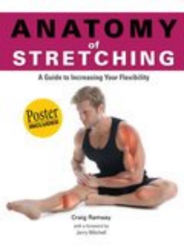 Anatomy Of Stretching